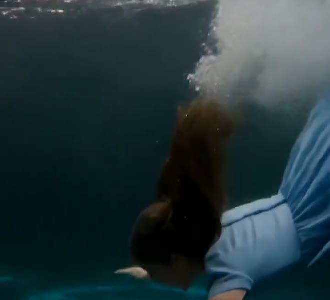 Lily sinking below the surface